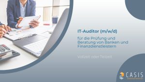 IT-Auditor