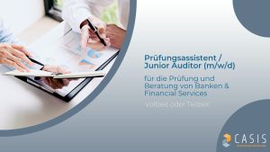 Prüfungsassitent-Junior-Auditor