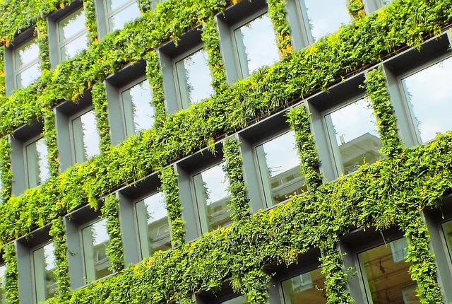 Symboldbild für Green Asset Ratio: Eine mit Pflanzen bewachsene Hochhausfassade symbolisiert nachhaltige Anlagen